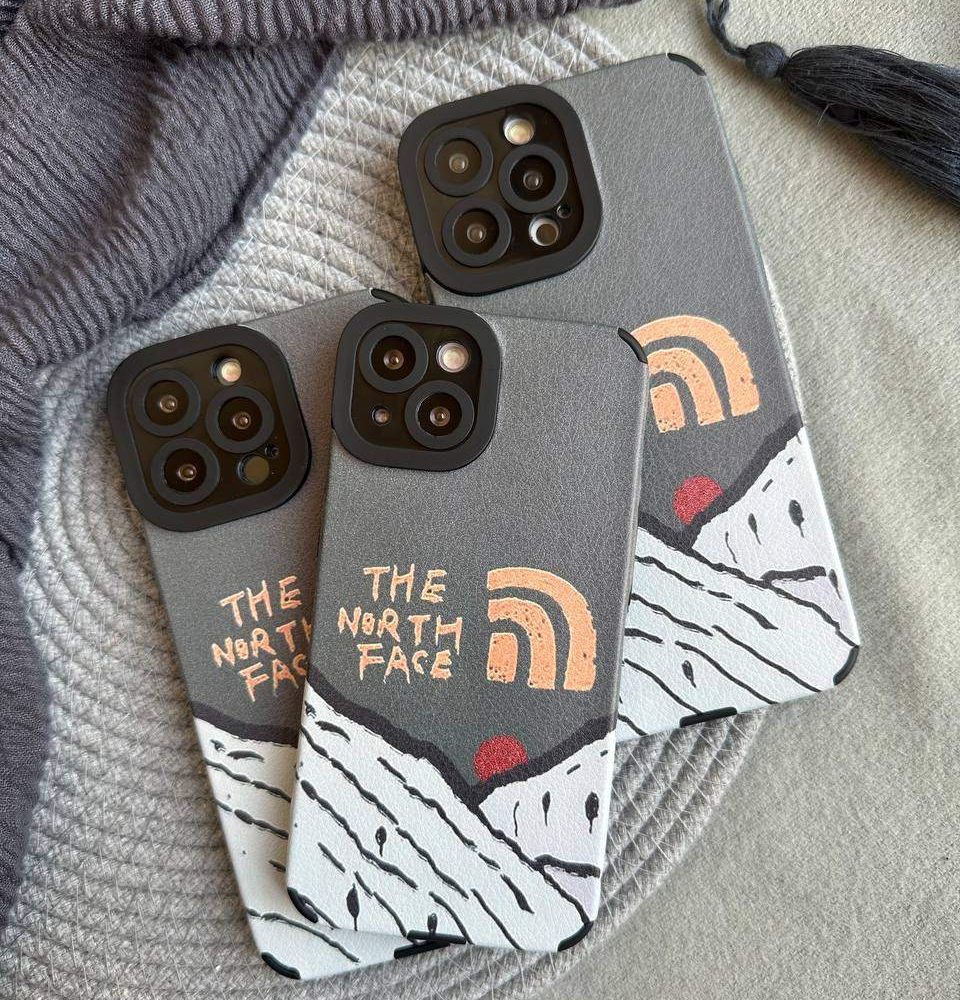 قاشی The North Face