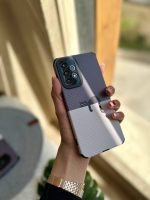 گربه روی دیوار