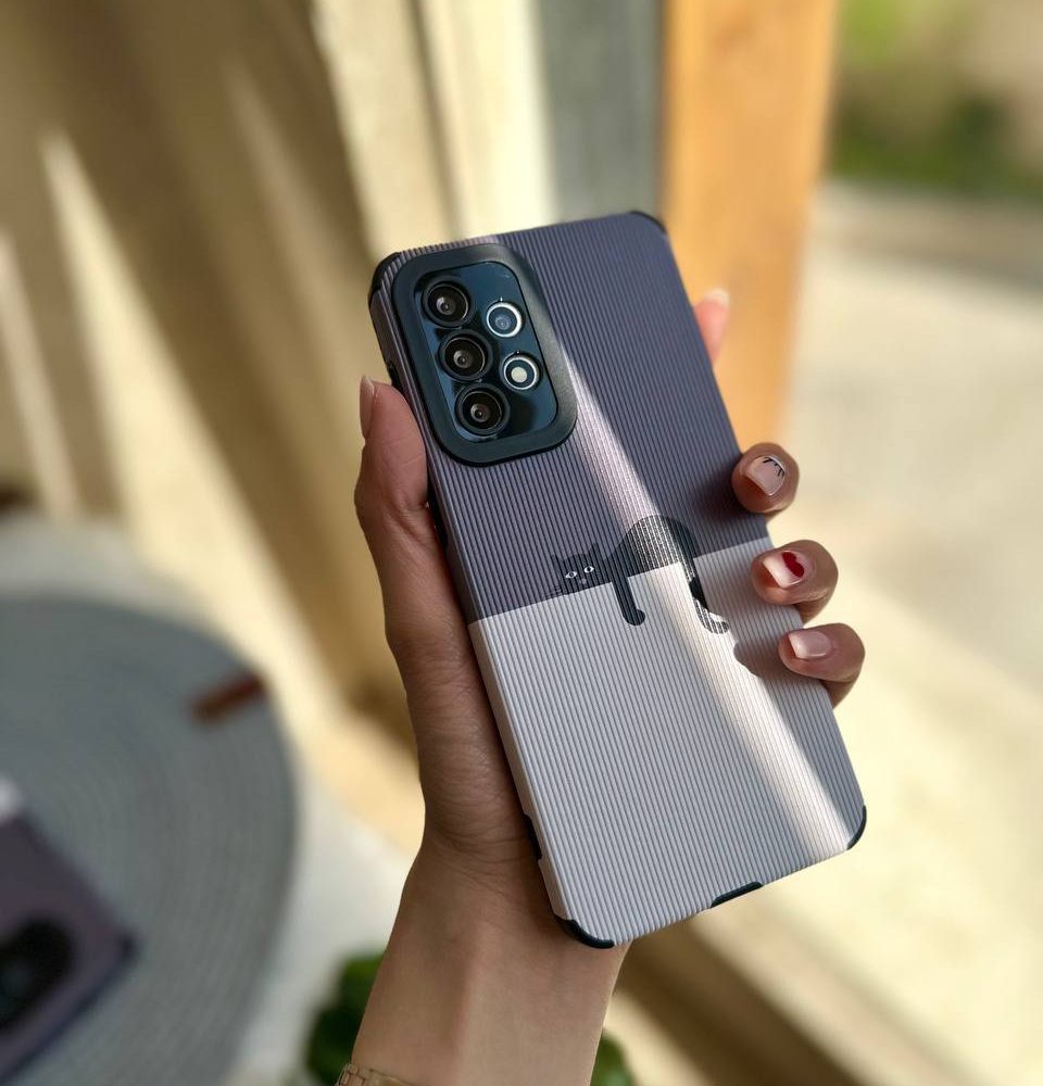 گربه روی دیوار