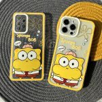 قاب طلقی باب اسفنجی