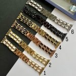 بند اپل واچ کارتیر شنل