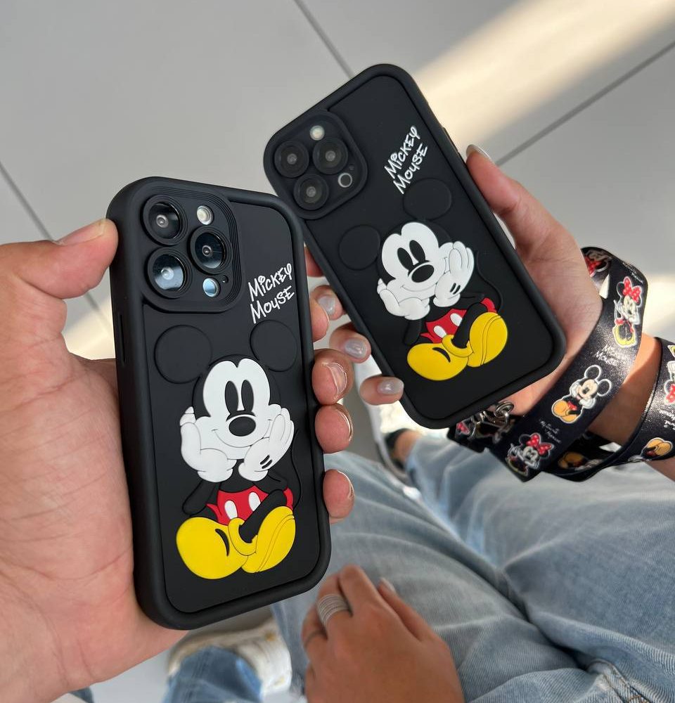 قاب سالیدمیکی و مینی