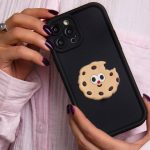 قاب سالید بیسکویتی