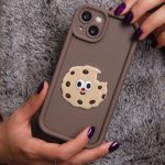 قاب سالید بیسکویتی