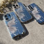 قاب پروانه آیینه ای