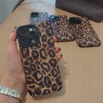 قاب کبریتی پلنگی