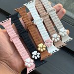 بند سیلیکونی اپل واچ مگنتی پنجه گربه