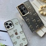 قاب شفاف قلبی