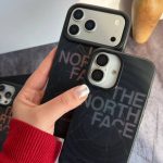 قاب هلوگرامی نورس فیس