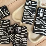 قاب طرح زبرا