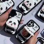 قاب قلب و پاندا