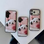 قاب پاندای خسته