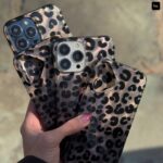 قاب شاین پلنکی